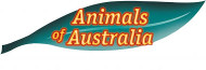 Animals of Australia